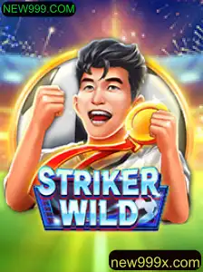 Descubra o Mundo Empolgante de StrikerWILD